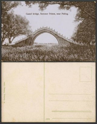 China Old Postcard Arched Camel Bridge,  Summer Palace,  Near Peking Pekin 北京萬壽山石橋