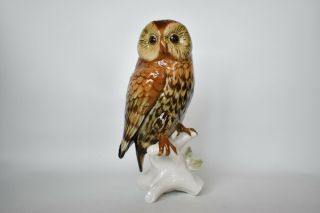 Antique Karl Ens Volkstedt Owl Bird Porcelain Figurine