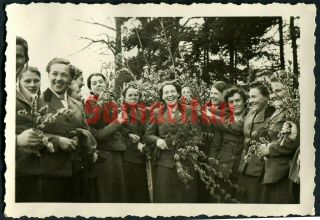 C8/2 Ww2 German Group Photo Of Wehrmacht Rad Women With Flowers