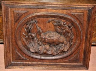 Antique Vintage Hand Carved Oak Framed Panel With Ibis Bird C.  1910