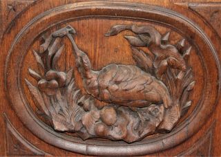 Antique Vintage Hand carved oak Framed Panel with Ibis Bird c.  1910 2