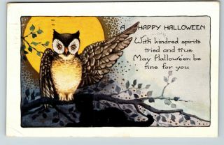 579 Vintage Halloween Postcard Whitney Made,  Owl Moon " With Kindred Spirits "