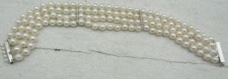 Vintage 14k White Gold 4 Strand Cultured Sea Pearl Bracelet From Estate 7.  5 "