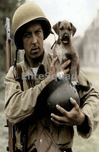 Ww2 Photo Picture A Gi With His Friend And German Helmet On D - Day France 304