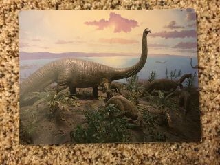 Vintage Old Postcard Stamp Dinosaurs National Museum Of Natural History Dc 1986