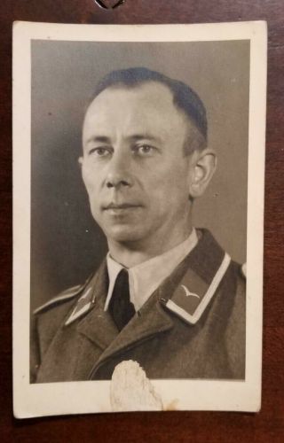 Ww2 Wwii German Luftwaffe Military Portrait Photo Photograph Postcard
