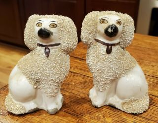 Antique Staffordshire Dogs Pair,  White,  Cavalier King Charles Spaniel