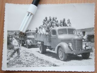 Jna Yugoslavia Army Photo Picture After Ww2 Military Truck Vehicle License Plate