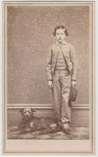 1865 Cdv Photo Of A Dog And Boy - San Francisco Ca - 3c Revenue Stamp On Back