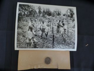 Ww2 Press Photo.  Installation Of More Barbed Wire.  For Western Front 11/13/1939.