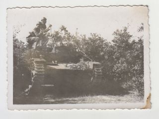 Bulgaria Bulgarian Army Ww2 Military Tank Vintage Orig Field Photo (29843)
