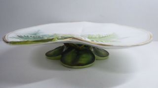 Antique George Jones Majolica Pottery Embossed Water Lily Fern Comport Plate
