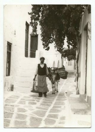 Greece Cyclades Paros Island View Of An Alley Old Photo Postcard