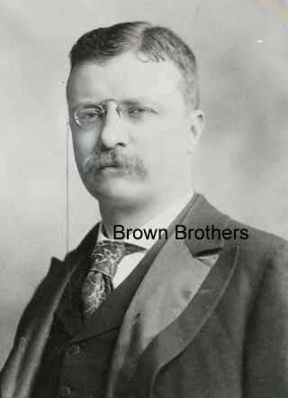 1890 President Theodore Roosevelt Portrait Photo Film Negative - Brown Bros