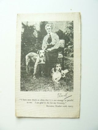 Ww1 Nurse Edith Cavel With Her Dogs Silk Photograph On Card - Brussels 1915