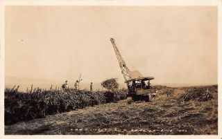 Vintage Rppc Hawaii Maui Loading Sugar Cane Steam Shovel Farming Photo Postcard