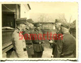 B17/3 Ww2 Wehrmacht German Officers In Filed Uniform And M43 Cap Photo