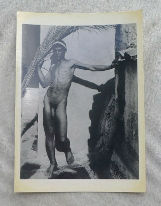 Vintage Wilhelm Von Gloeden 1902 Gay Erotic Postcard Photograph Reprint In Paris