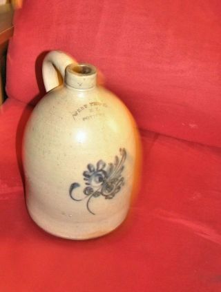 19th C.  West Troy Ny Pottery Stoneware 2 Gallon Jug Cobalt Flower