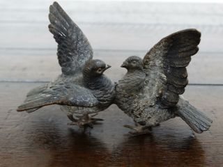 Antique Miniature Austrian Cold Painted Bronze Birds Fine Vienna Doves