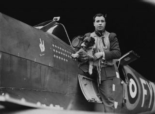 Ww2 Photo Wwii Raf Spitfire Pilot On Wing With Dog Britain World War Two /5200