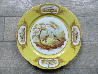 Antique 19th Century Hand Painted Sevres Porcelain Plate W.  Birds 3