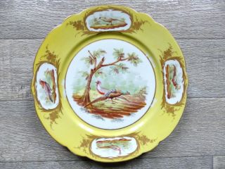 Antique 19th Century Hand Painted Sevres Porcelain Plate W.  Birds 1