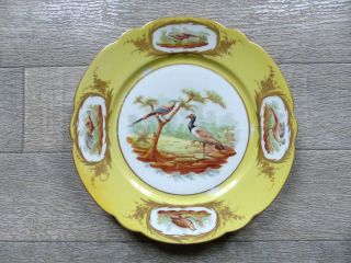 Antique 19th Century Hand Painted Sevres Porcelain Plate W.  Birds 2