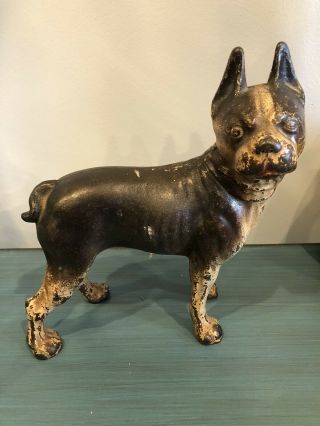 Antique Hubley Cast Iron French Bulldog Doorstop With Painted Finish