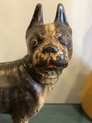Antique Hubley Cast Iron French Bulldog Doorstop with Painted Finish 2