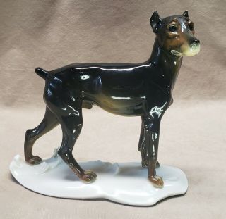 Karl Ens Volkstedt Porcelain Dog Figurine Rare 7 " Tall Doberman Pinscher