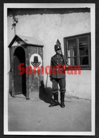 C6/2 Ww2 German Wehrmacht Photograph Of Rad Soldier In Field Tunic