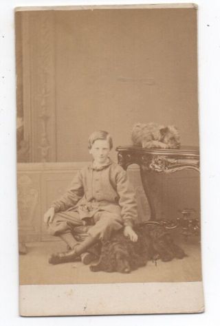1870s Cdv Photo Of Boy And His Two Dogs From Quebec Canada