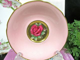 Paragon Teacup Saucer Only Red Painted Cabbage Rose Pink Tea Cup Saucer Gold