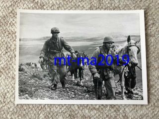 Ww2 Press Photograph - Ww2 German Luftwaffe Paratroopers With Mules