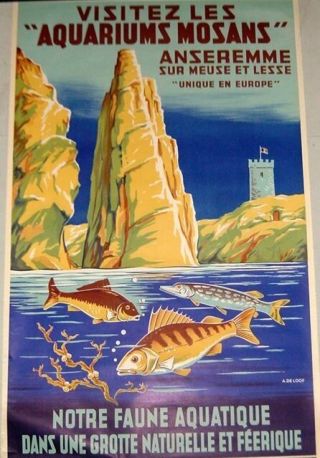Vintage Belgium Travel Poster On Linen