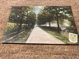 Old Postcard The Walks Wellingborough