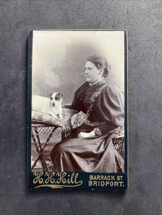 Victorian Carte De Visite Cdv: Young Lady Pet Dog : Hull: Bridport: 1 Of 2
