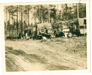 Ww2 German Soldiers Trucks Convoy Under Tree Cover Real Photo Wwii C1942