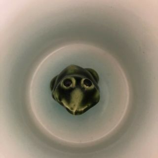 Surprise Frog In Coffee Cup White W/ Green Frog In Bottom Cm Inc.  Chadwick Japan