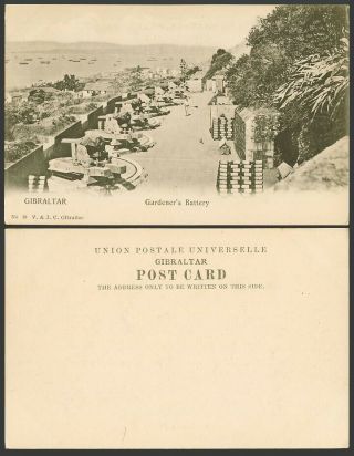 Gibraltar Old Ub Postcard Gardener 