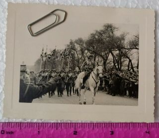 078 Ww2 Orig.  Photo German Officers Parade Flags Horse Sword Lanyard 3 X 4 Inch