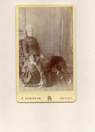 Victorian Cdv Photo Greyhound Dog With Elderly Lady By R Robinson Photographer