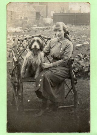 Bearded Collie Dog Edwardian Young Lady Old Private Real Photo Postcard