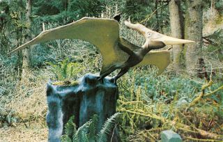 Pteranodon Dinosaur Preshistoric Gardens Oregon Hwy 101 C1950s Vintage Postcard