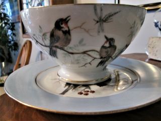 Antique Chinese Hand Painted Bird Spider Web Christmas Tea Cup Saucer Porcelain