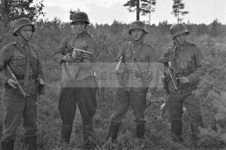 Officers Of The Swedish Battalion Of The Finnish Army Ww2 Photo 326