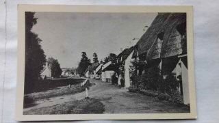 Vintage Postcard,  Street View,  House,  Life,  Downton,  Salisbury,  1950s,  Non - Posted