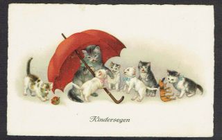 Artist Drawn Old Postcard Anthropomorphic Cats In Kindergarten Mr Punch ?