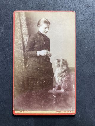 Victorian Carte De Visite Cdv: Lady With Dog: Lambert Named Smith: Parsonstown: